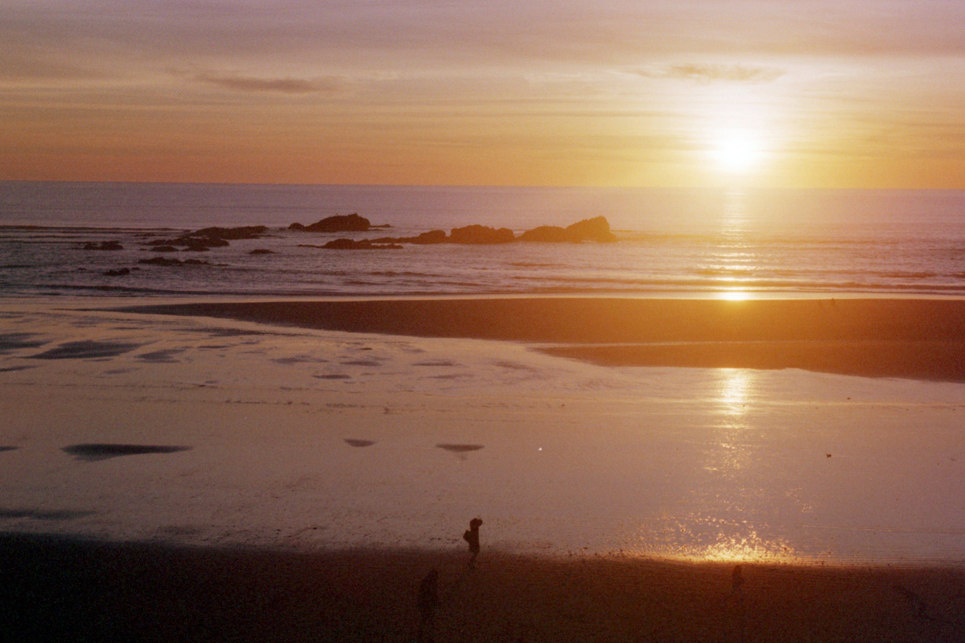 Entwined Consequences